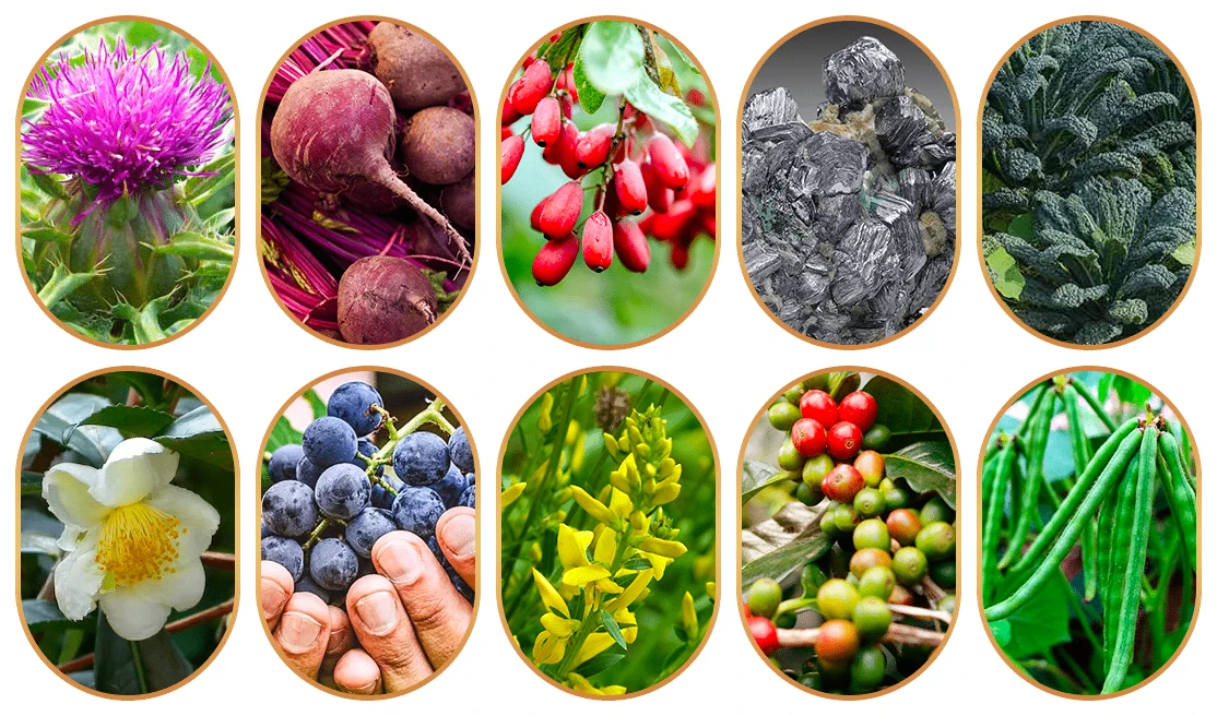 Liv Pure ingredients